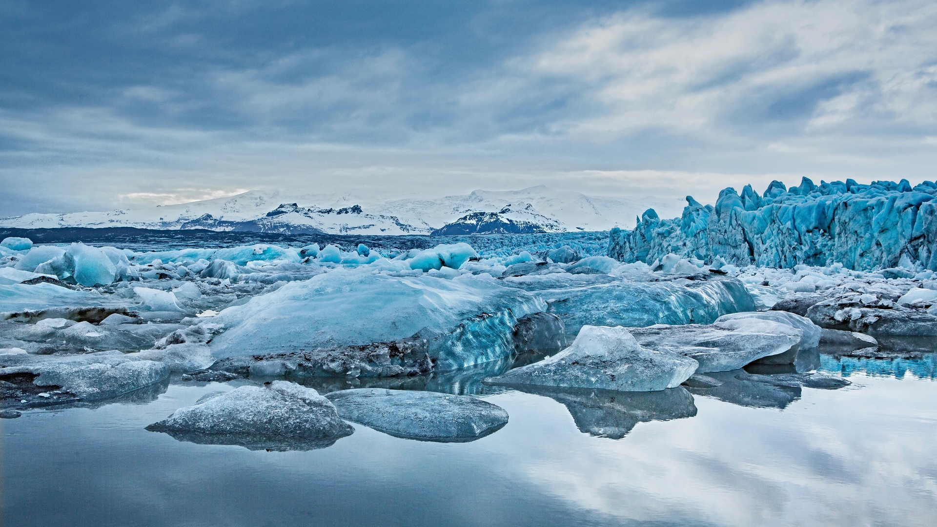 Journey Through Icy Realms